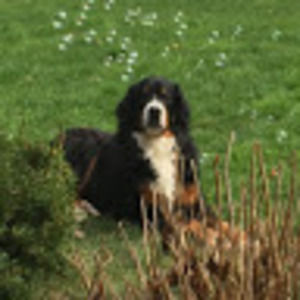 Meet your Posher, Jaime